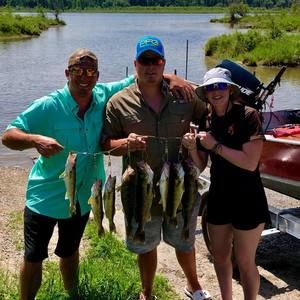 Meet your Posher, Dylan